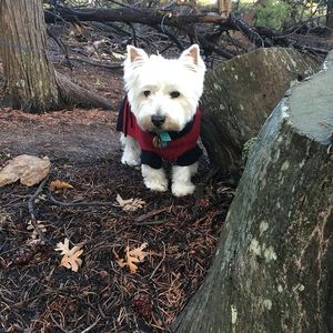 Trudie May White- Trudie Girl, Trudes, Boo, Tru Tru