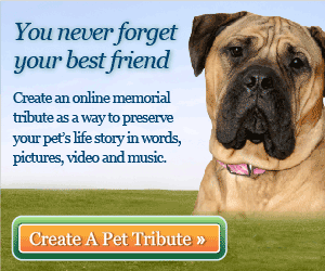Add an audio memory to your loved one's tribute
